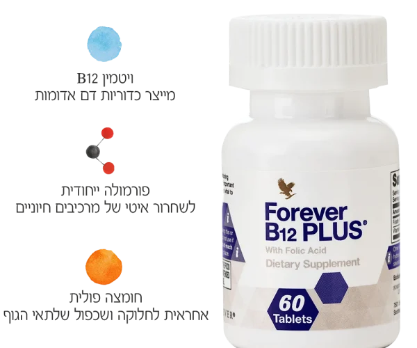 B12-רכיבים