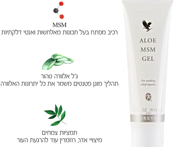 גל-אלוורה-MSM-רכיבים